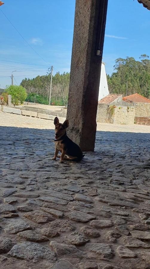 Casa Do Forno De Cal Villa Vila do Conde Dış mekan fotoğraf