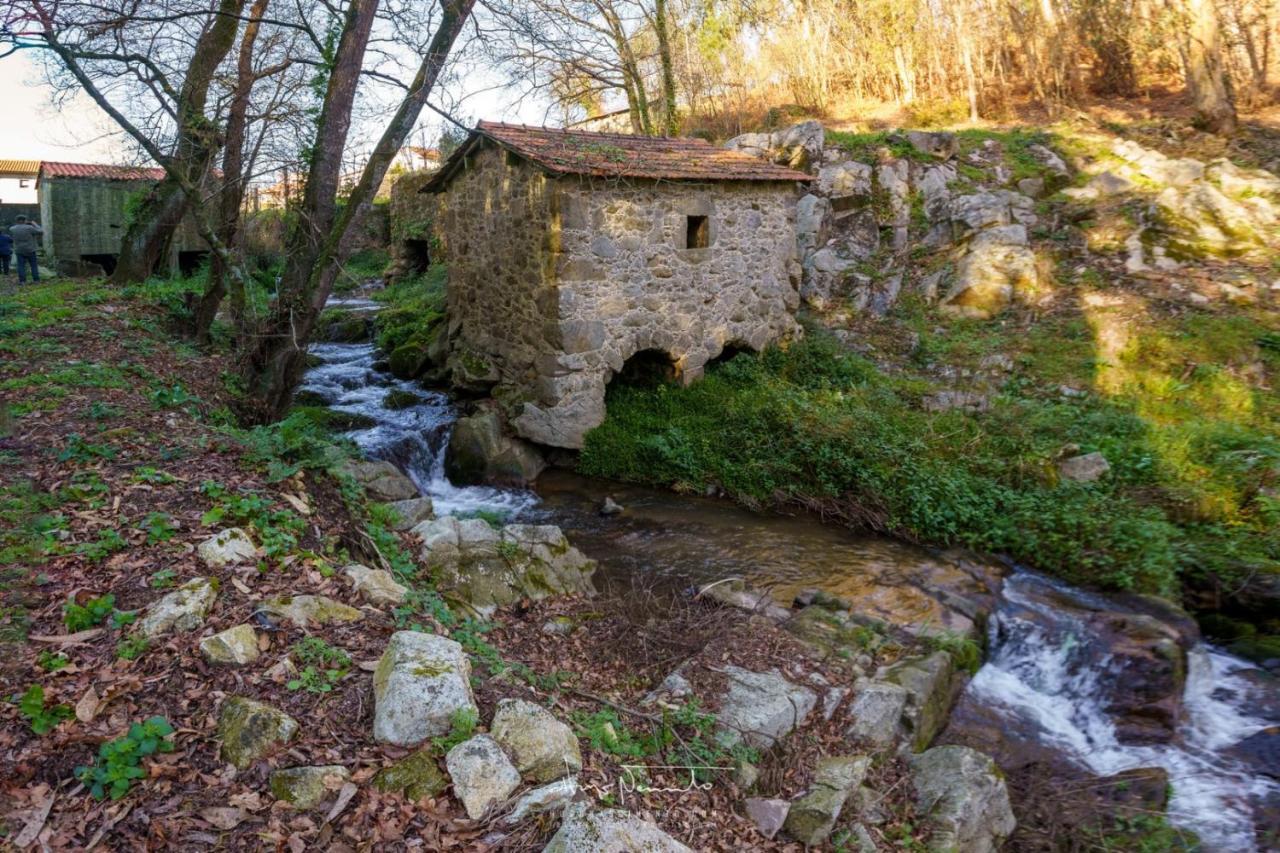 Casa Do Forno De Cal Villa Vila do Conde Dış mekan fotoğraf